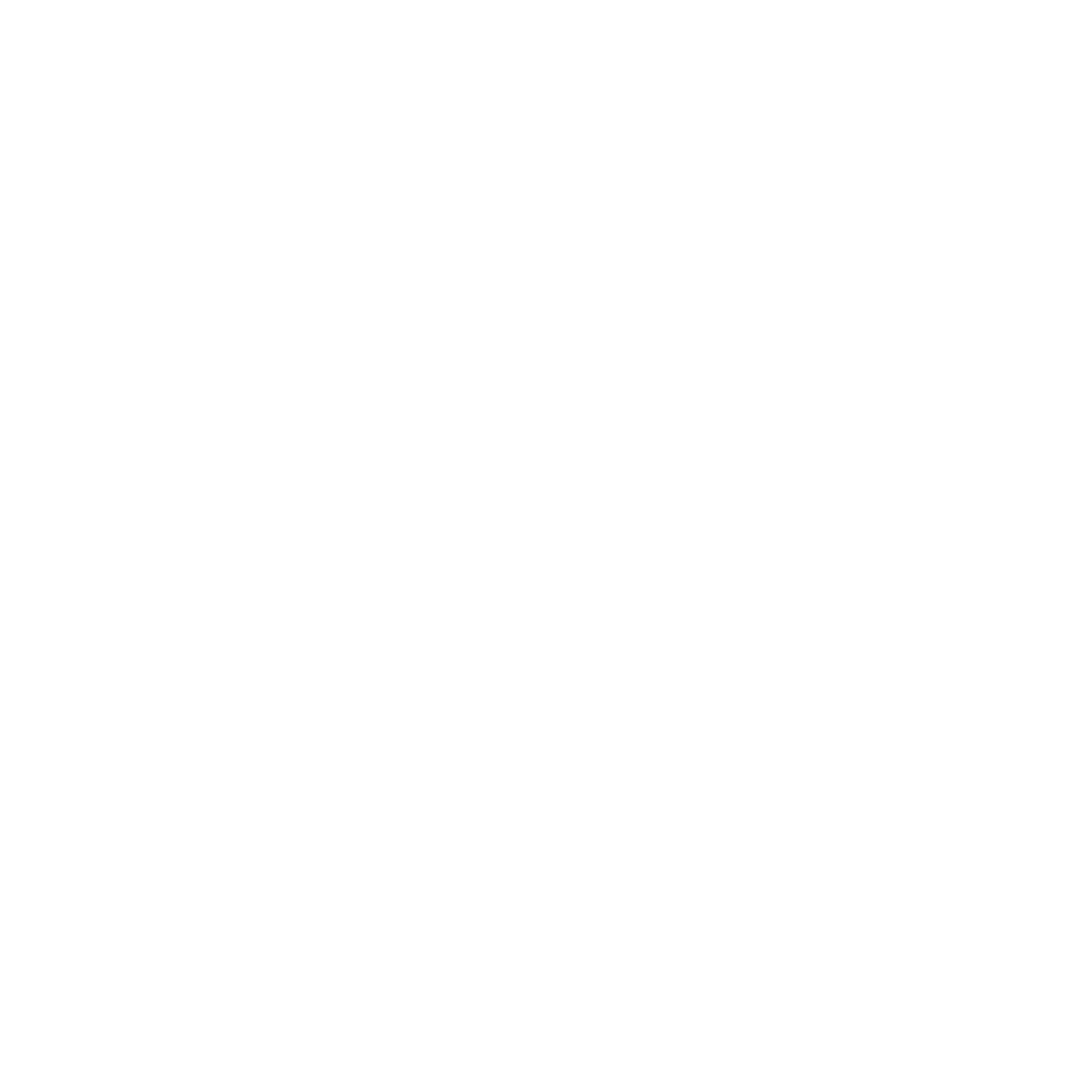 Logo-icon - white